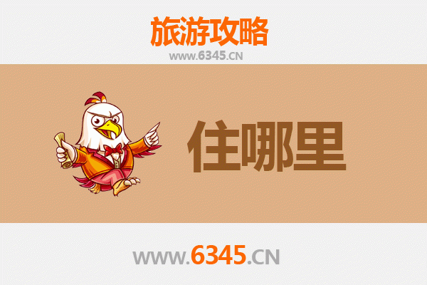 上海杨浦旅游民宿全攻略：工业风与文艺范的完美融合